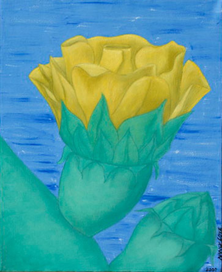 Cactus Flower
